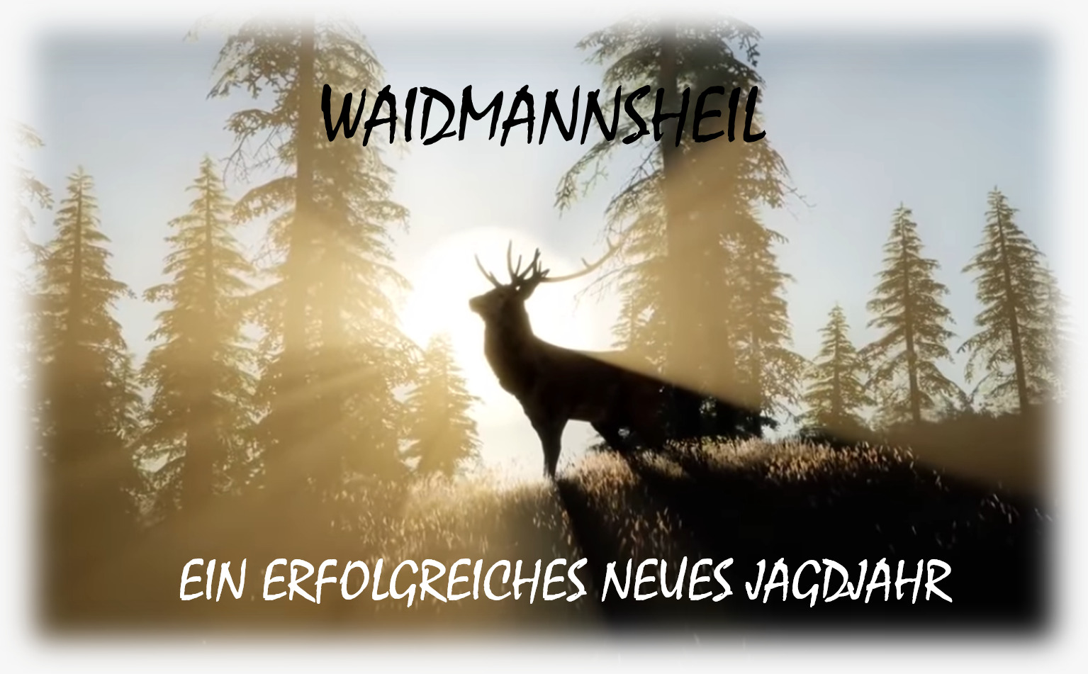 Waidmannsheil